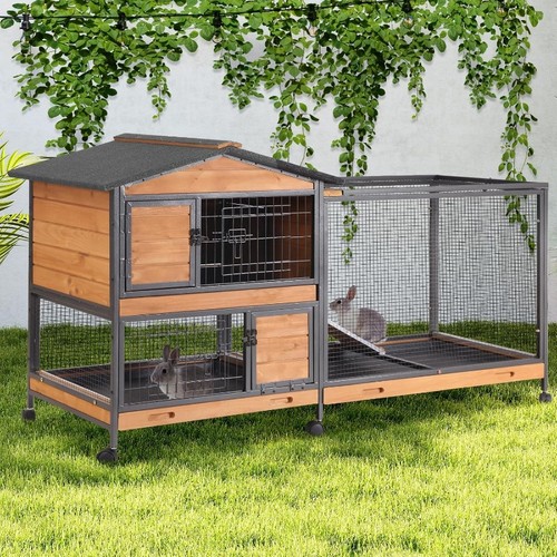 Story rabbit hutch with - rabbit,